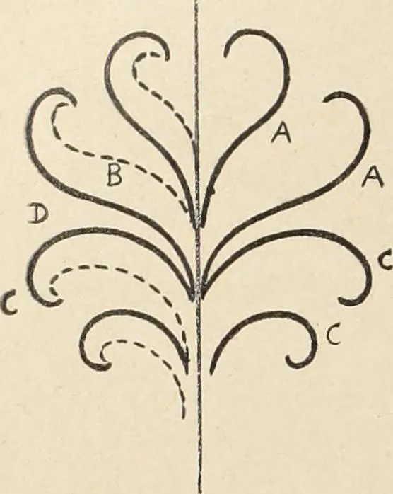 An illustration from Méthode de composition ornementale, 1905, leaf 215