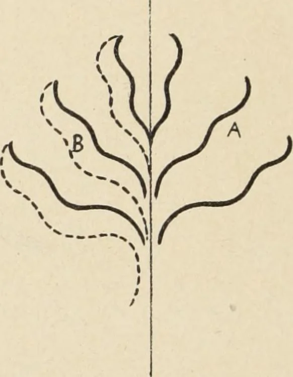 An illustration from Méthode de composition ornementale, 1905, leaf 215