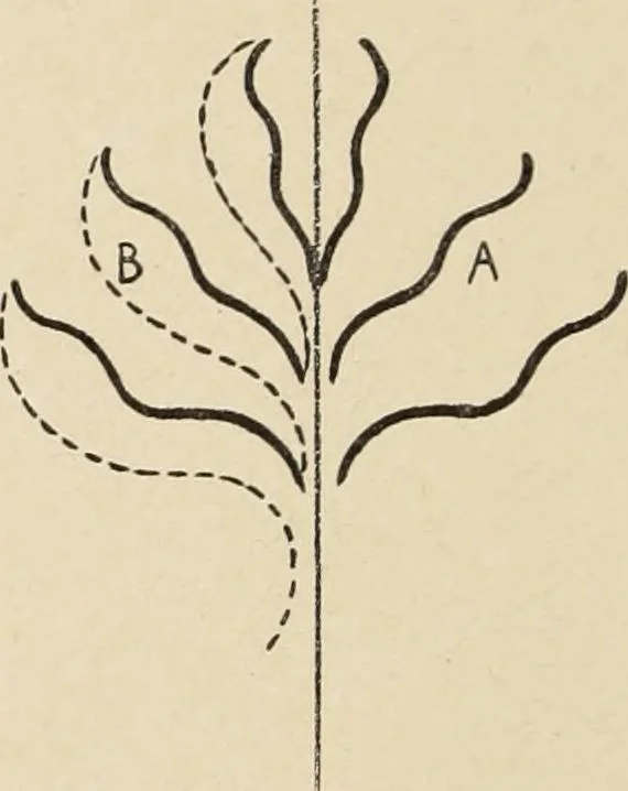 An illustration from Méthode de composition ornementale, 1905, leaf 215