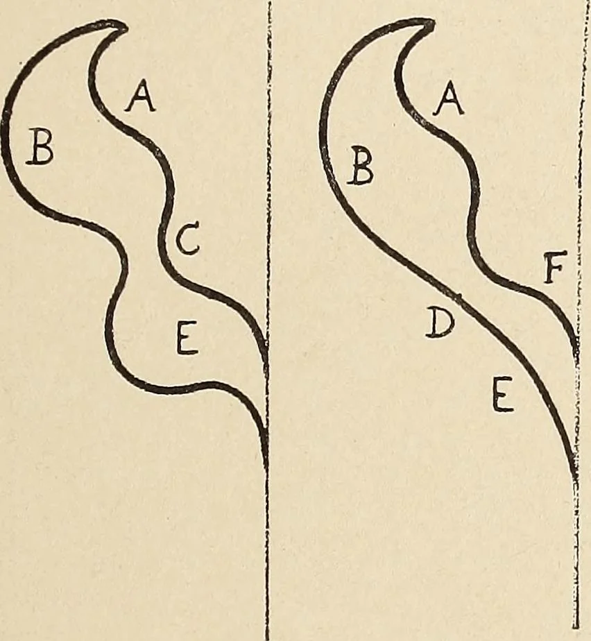 An illustration from Méthode de composition ornementale, 1905, leaf 216
