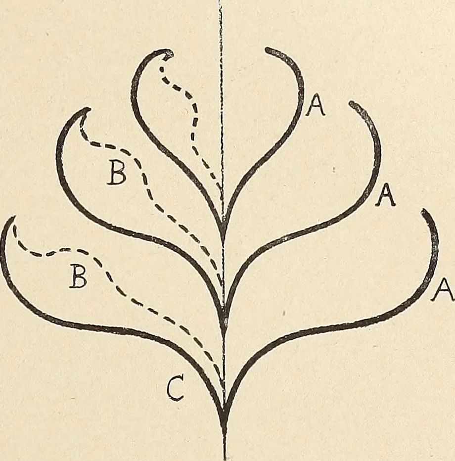 An illustration from Méthode de composition ornementale, 1905, leaf 216
