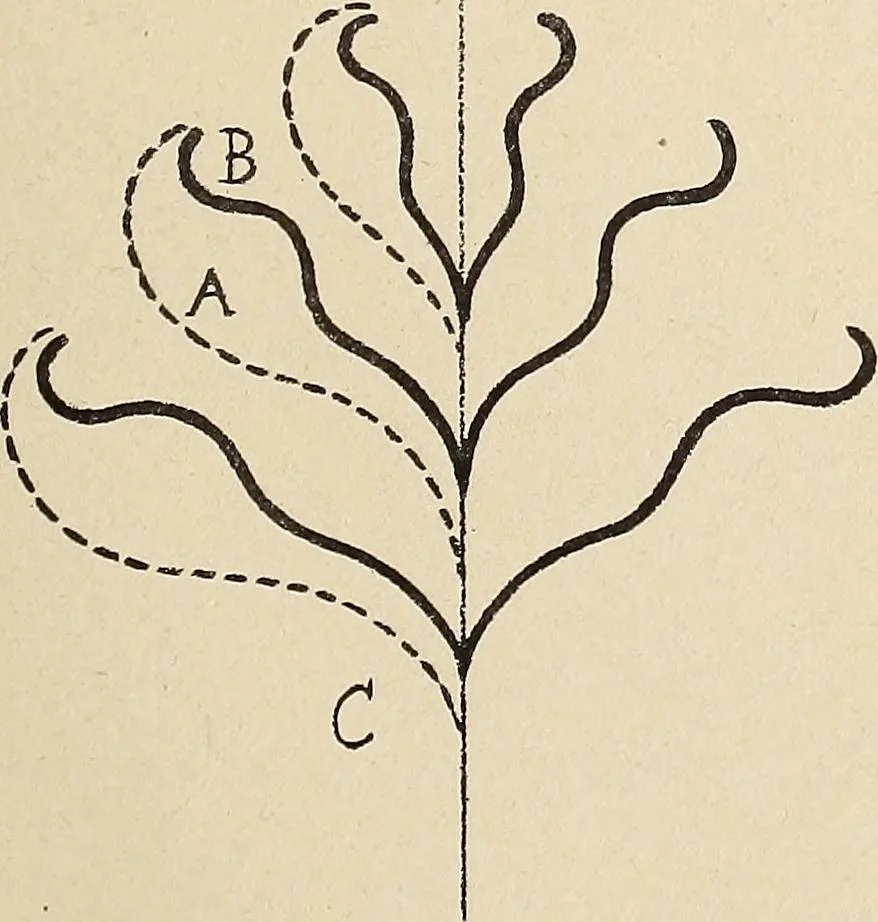 An illustration from Méthode de composition ornementale, 1905, leaf 216