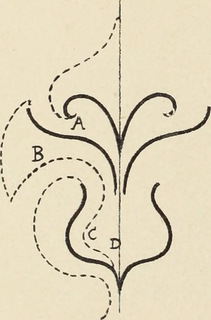 An illustration from Méthode de composition ornementale, 1905, leaf 217
