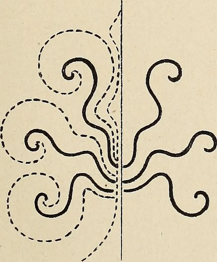 An illustration from Méthode de composition ornementale, 1905, leaf 218