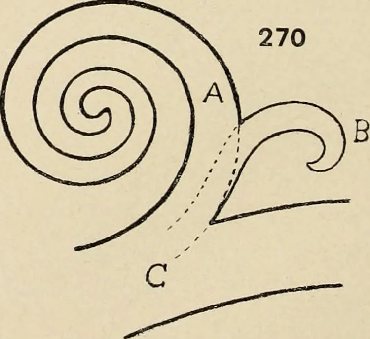 An illustration from Méthode de composition ornementale, 1905, leaf 223