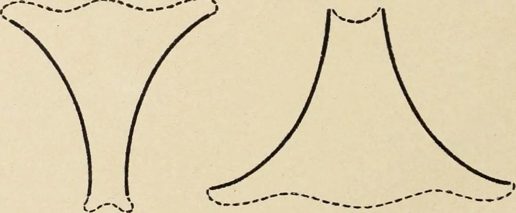 An illustration from Méthode de composition ornementale, 1905, leaf 225