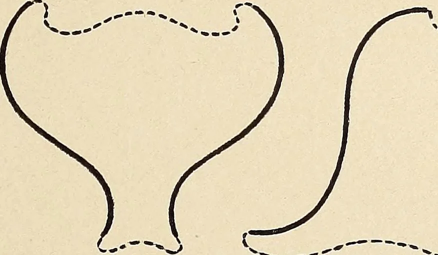 An illustration from Méthode de composition ornementale, 1905, leaf 226