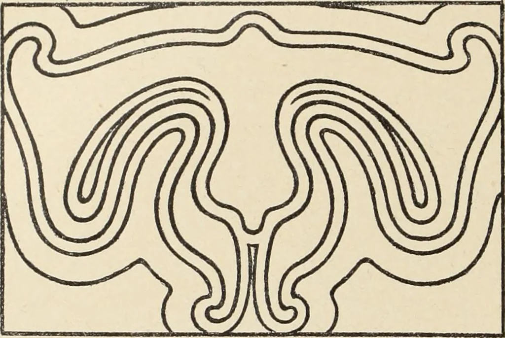 An illustration from Méthode de composition ornementale, 1905, leaf 227