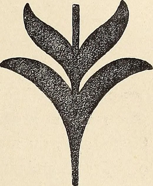 An illustration from Méthode de composition ornementale, 1905, leaf 234