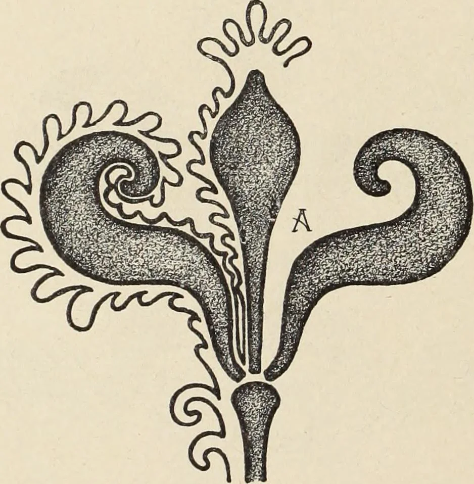 An illustration from Méthode de composition ornementale, 1905, leaf 235