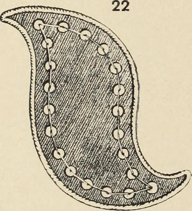 An illustration from Méthode de composition ornementale, 1905, leaf 237