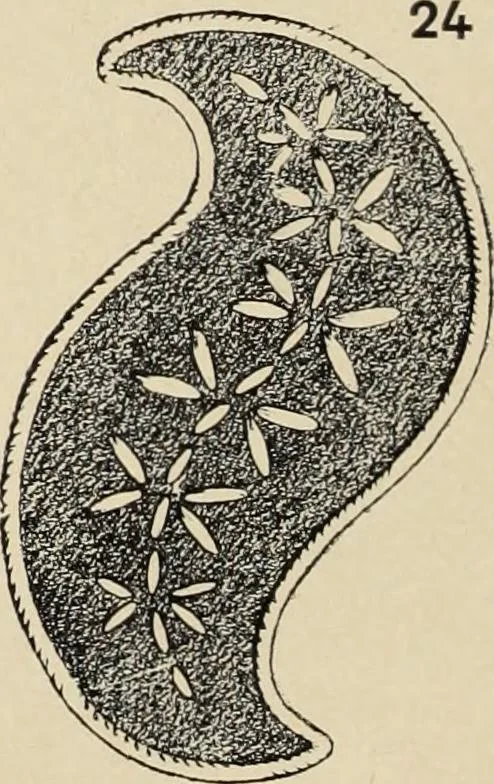 An illustration from Méthode de composition ornementale, 1905, leaf 237