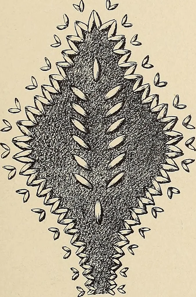 An illustration from Méthode de composition ornementale, 1905, leaf 238