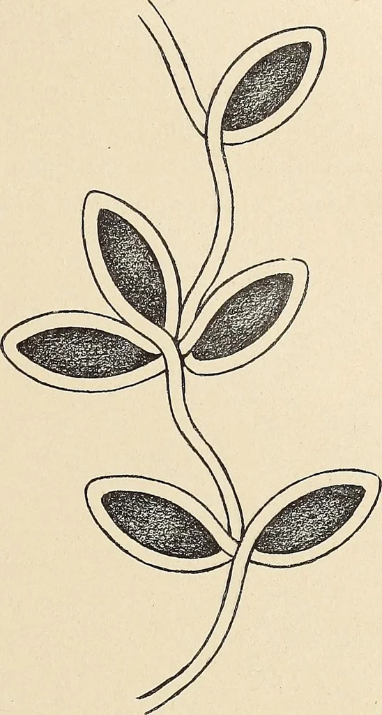 An illustration from Méthode de composition ornementale, 1905, leaf 240