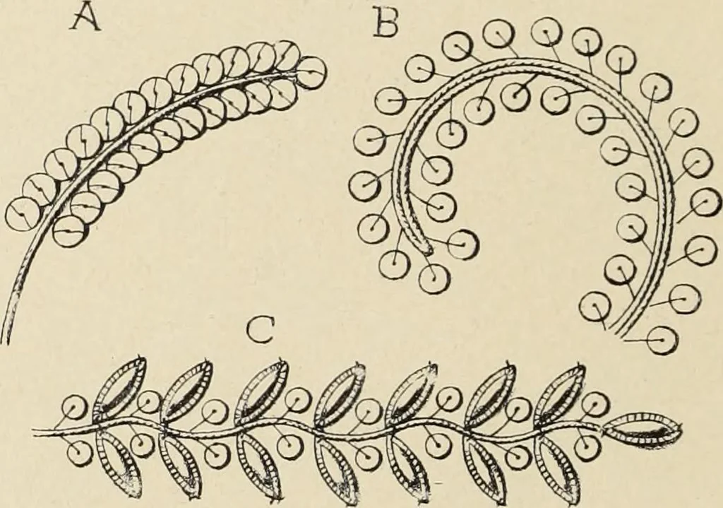 An illustration from Méthode de composition ornementale, 1905, leaf 245