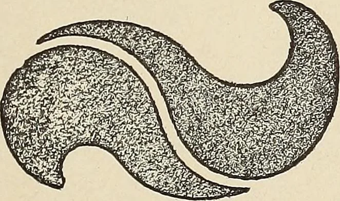 An illustration from Méthode de composition ornementale, 1905, leaf 250