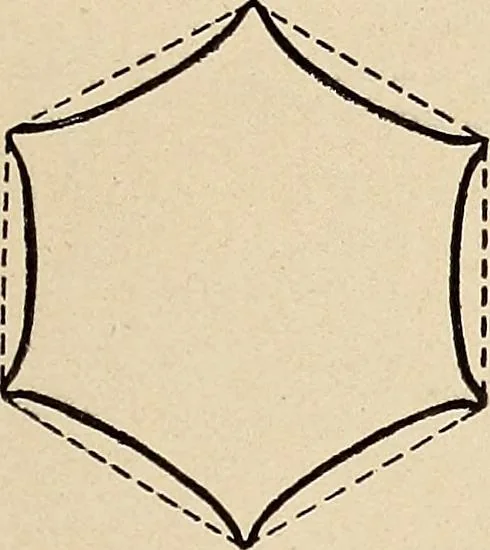 An illustration from Méthode de composition ornementale, 1905, leaf 26