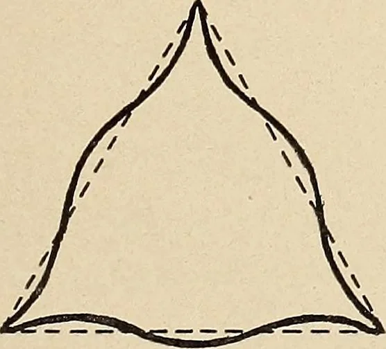 An illustration from Méthode de composition ornementale, 1905, leaf 30