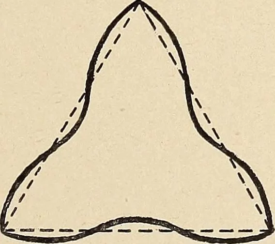 An illustration from Méthode de composition ornementale, 1905, leaf 30