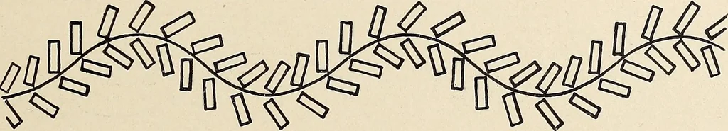 An illustration from Méthode de composition ornementale, 1905, leaf 308