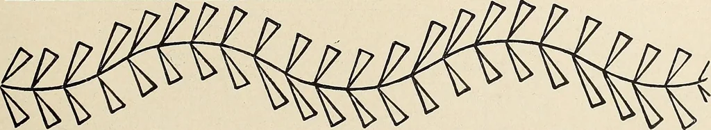An illustration from Méthode de composition ornementale, 1905, leaf 308