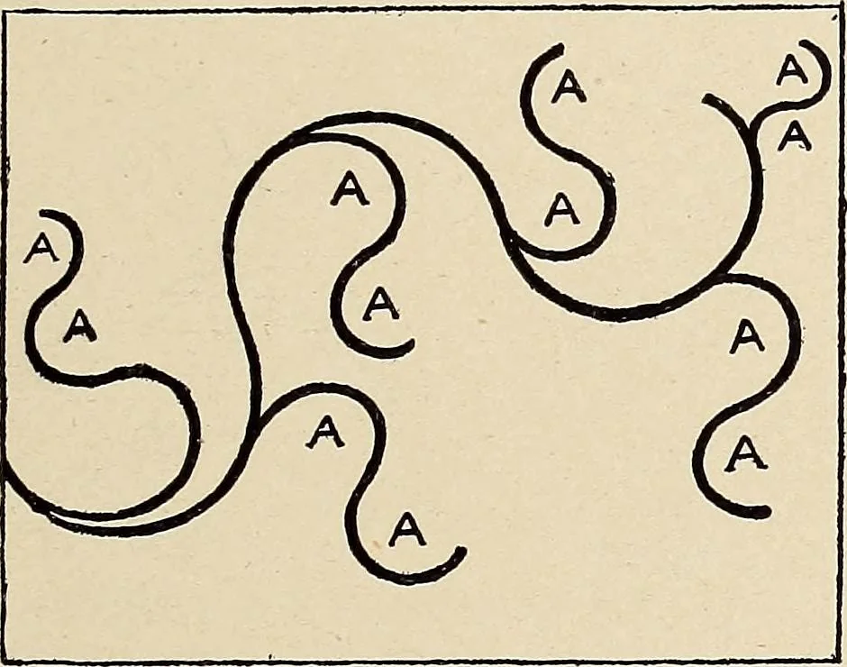 An illustration from Méthode de composition ornementale, 1905, leaf 314