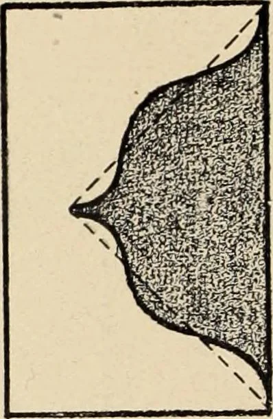 An illustration from Méthode de composition ornementale, 1905, leaf 33