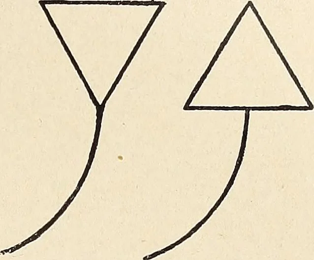 An illustration from Méthode de composition ornementale, 1905, leaf 330