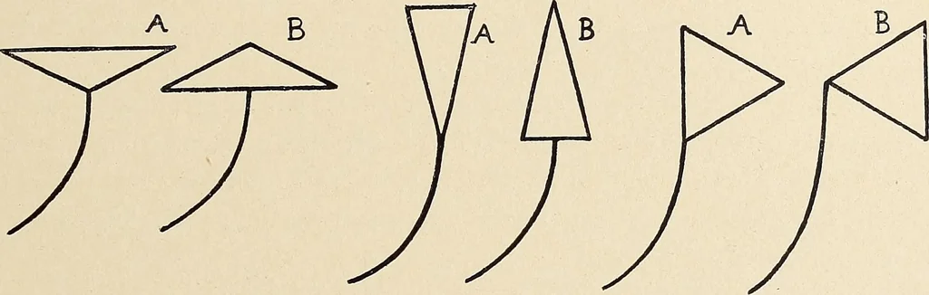 An illustration from Méthode de composition ornementale, 1905, leaf 330