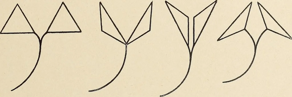 An illustration from Méthode de composition ornementale, 1905, leaf 334
