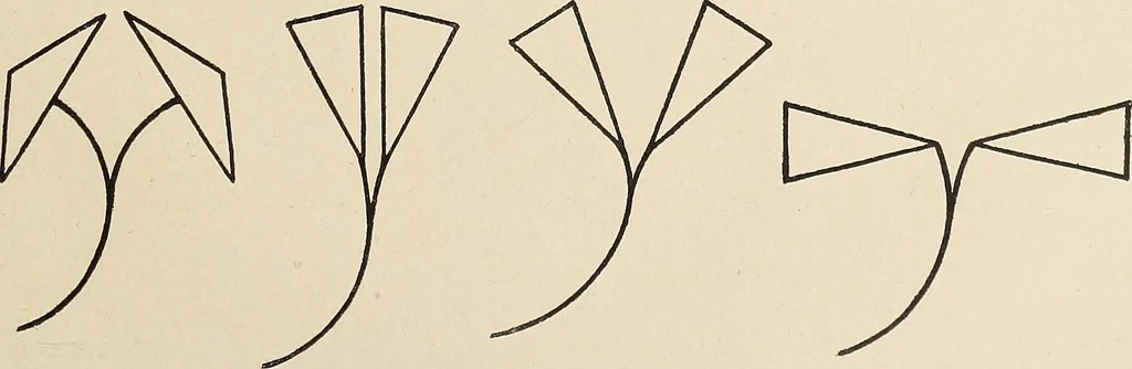 An illustration from Méthode de composition ornementale, 1905, leaf 334