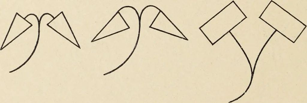 An illustration from Méthode de composition ornementale, 1905, leaf 335