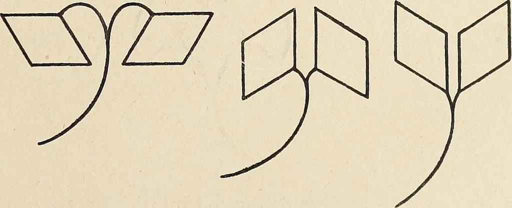 An illustration from Méthode de composition ornementale, 1905, leaf 336