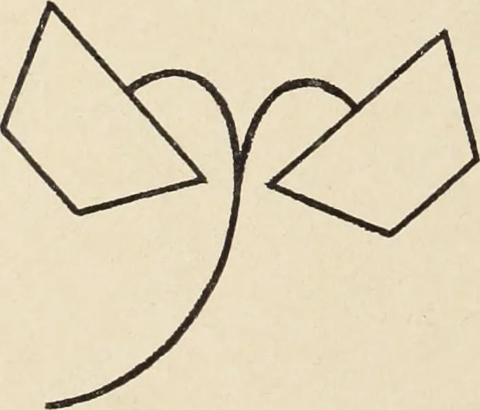 An illustration from Méthode de composition ornementale, 1905, leaf 339