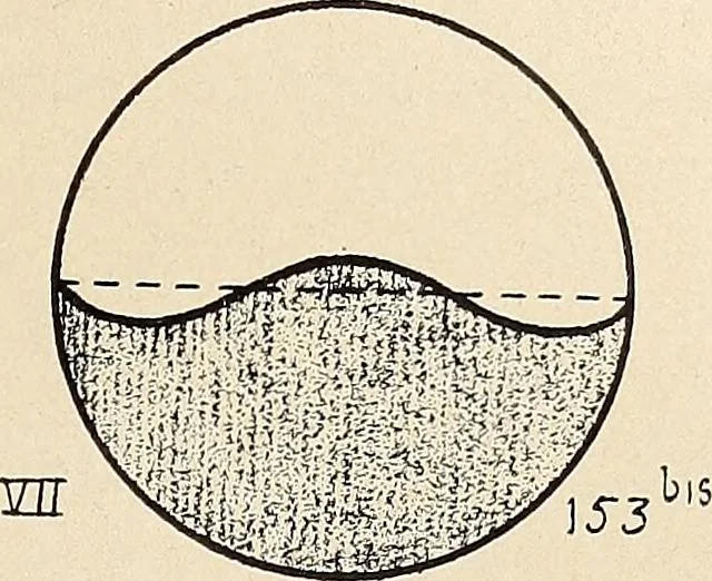 An illustration from Méthode de composition ornementale, 1905, leaf 34