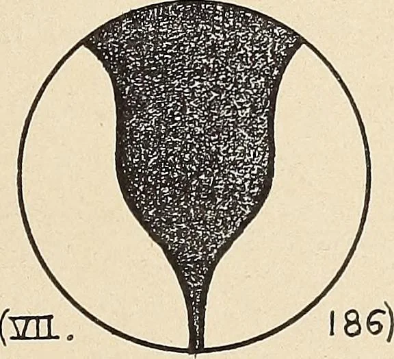 An illustration from Méthode de composition ornementale, 1905, leaf 34