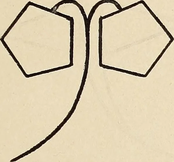 An illustration from Méthode de composition ornementale, 1905, leaf 340