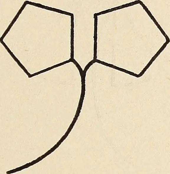 An illustration from Méthode de composition ornementale, 1905, leaf 340