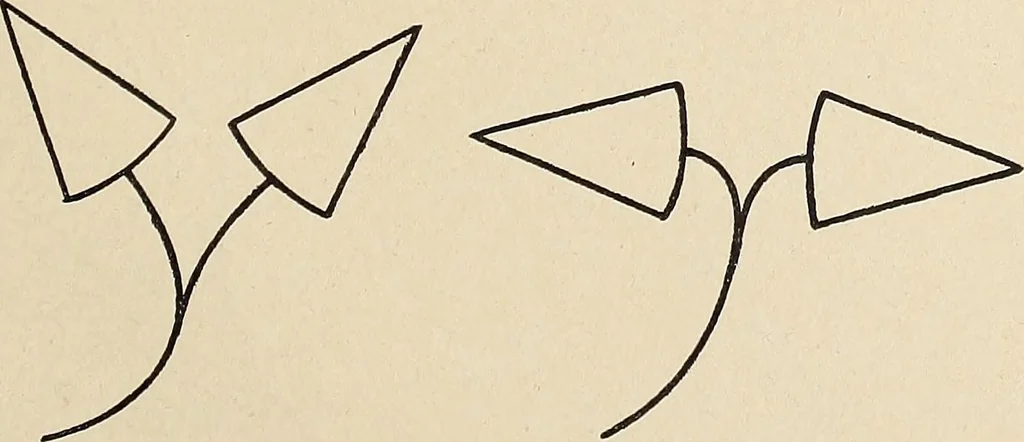 An illustration from Méthode de composition ornementale, 1905, leaf 340