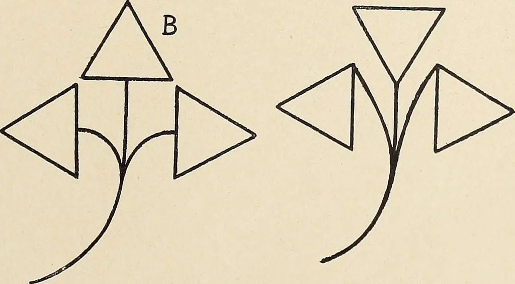 An illustration from Méthode de composition ornementale, 1905, leaf 342