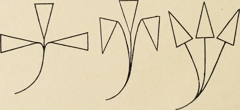An illustration from Méthode de composition ornementale, 1905, leaf 343
