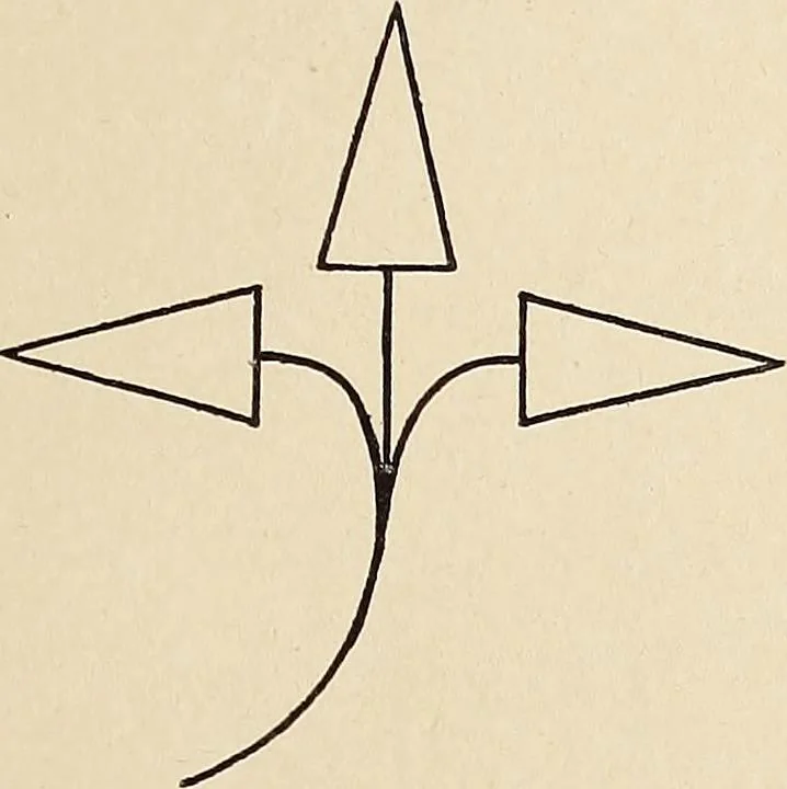 An illustration from Méthode de composition ornementale, 1905, leaf 344