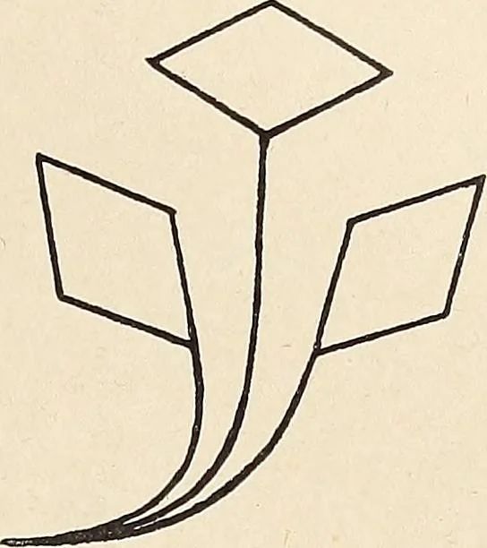 An illustration from Méthode de composition ornementale, 1905, leaf 346