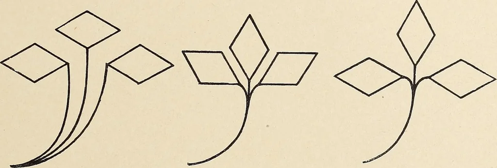 An illustration from Méthode de composition ornementale, 1905, leaf 346