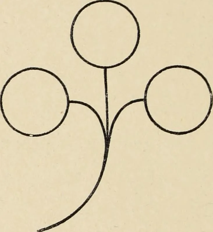 An illustration from Méthode de composition ornementale, 1905, leaf 347