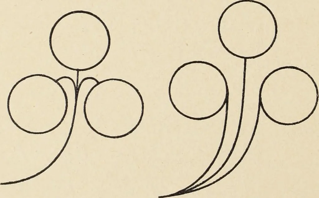 An illustration from Méthode de composition ornementale, 1905, leaf 347