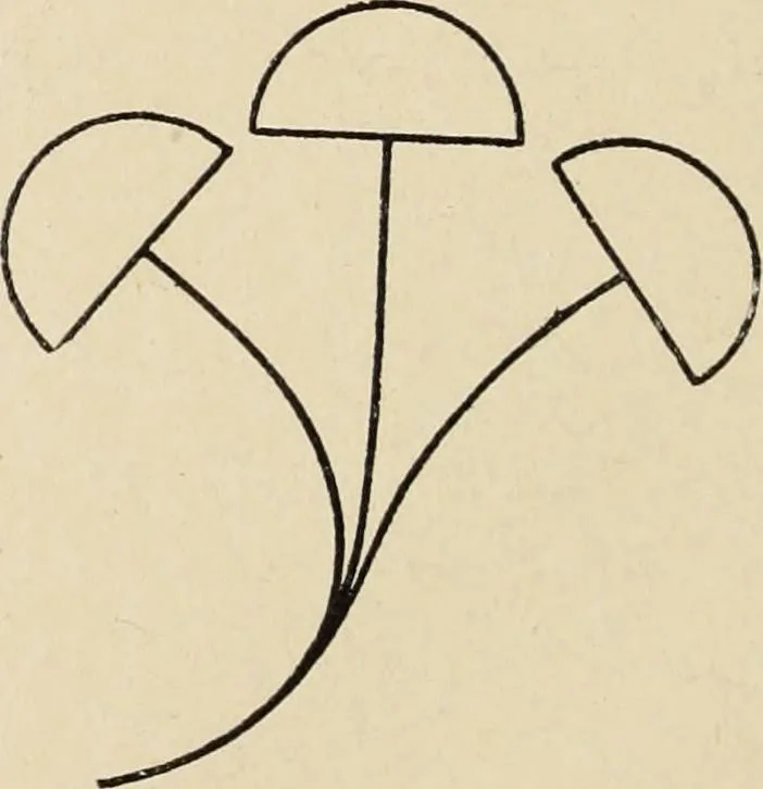 An illustration from Méthode de composition ornementale, 1905, leaf 347