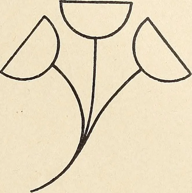 An illustration from Méthode de composition ornementale, 1905, leaf 348