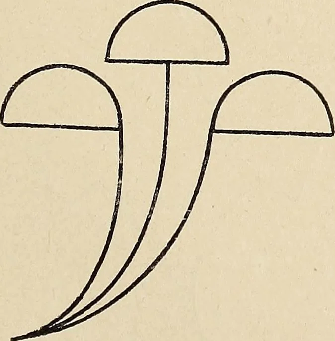 An illustration from Méthode de composition ornementale, 1905, leaf 348