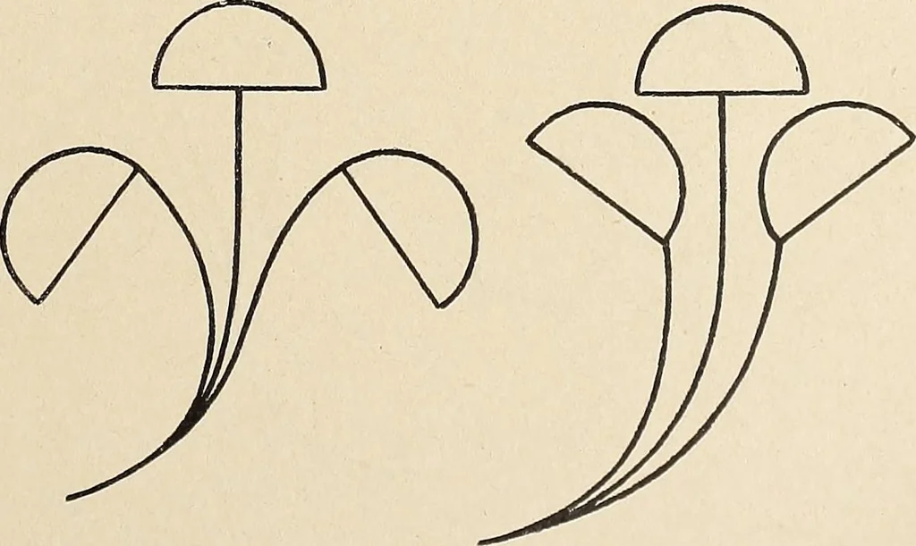 An illustration from Méthode de composition ornementale, 1905, leaf 348